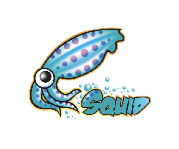 Procédure Proxy Filtrant