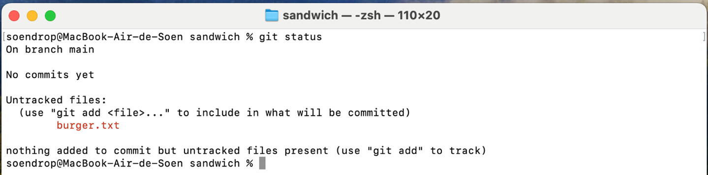 Git