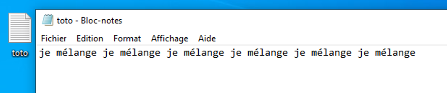Image du fichier texte