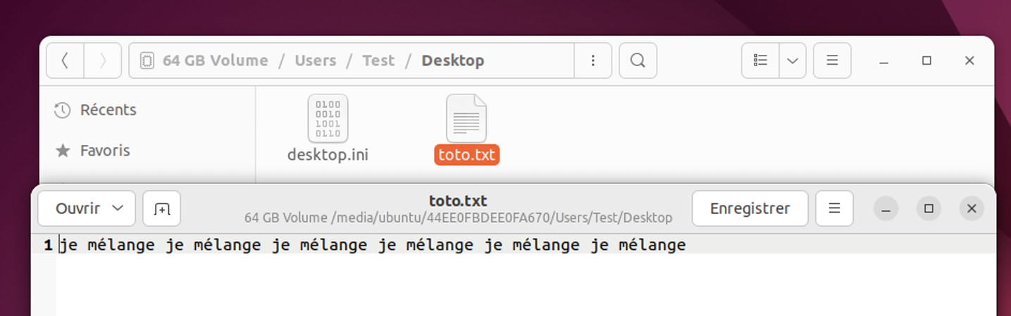 Image de l’explorateur de fichiers d’Ubuntu et du fichier créé sous Windows