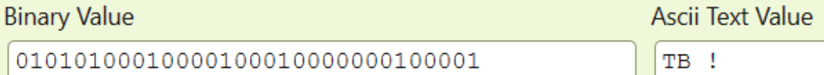 Image d’un convertisseur binaire vers ASCII